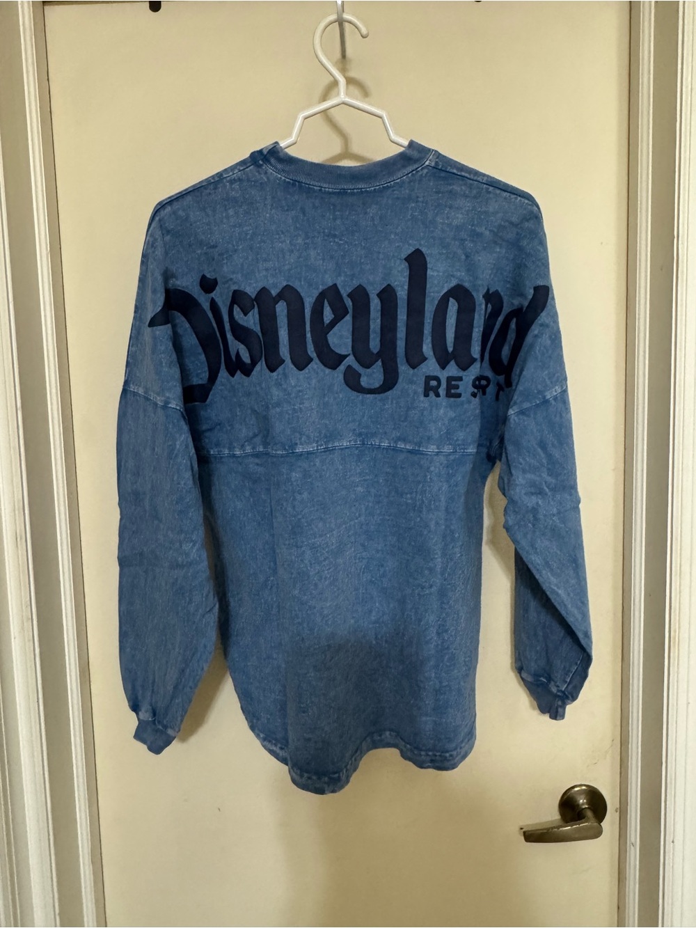 Disney Resorts Spirit Jersey